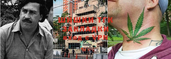 индика Алексеевка