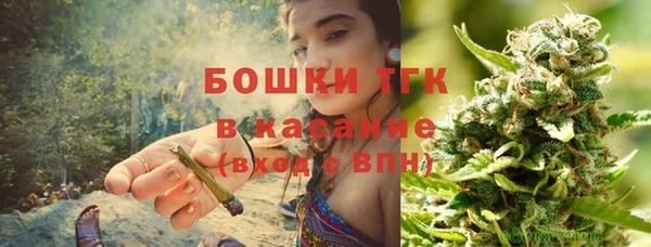 индика Алексеевка