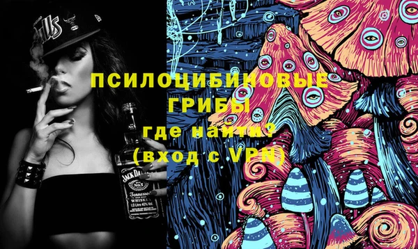 индика Алексеевка
