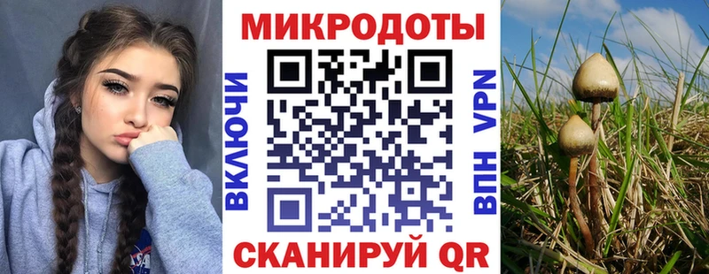 купить закладку  Апатиты  даркнет клад  Галлюциногенные грибы ЛСД 