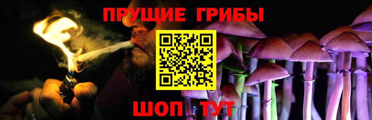Галлюциногенные грибы Magic Shrooms  как найти закладки  Апатиты  Вход с VPN  Галлюциногенные грибы мицелий 